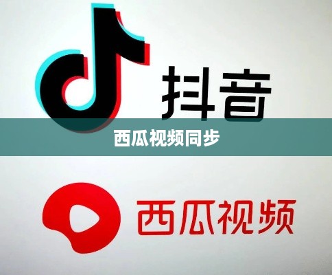 西瓜视频同步两个抖音的相关探讨