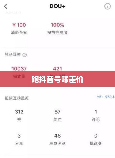 跑抖音号赚差价是否违法，深度解析与警示