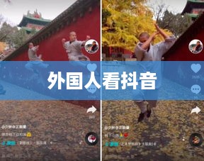 外国人看抖音点赞多的现象探究