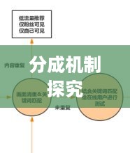 抖音直播平台抽一半吗，探究抖音直播的运营模式与分成机制