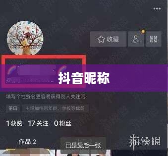 抖音收货姓名是否需要写抖音昵称？解析与探讨