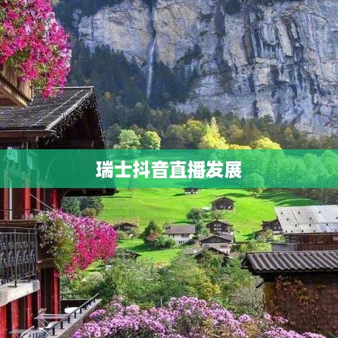 瑞士抖音直播的发展与可能性分析