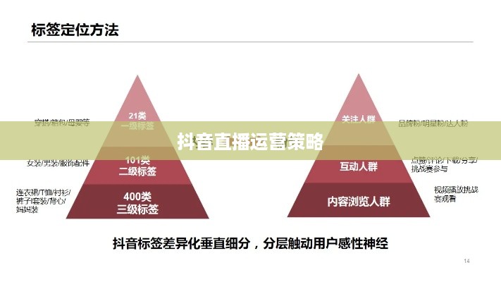 抖音直播平台抽一半吗？深度解析抖音直播的分成机制与运营策略