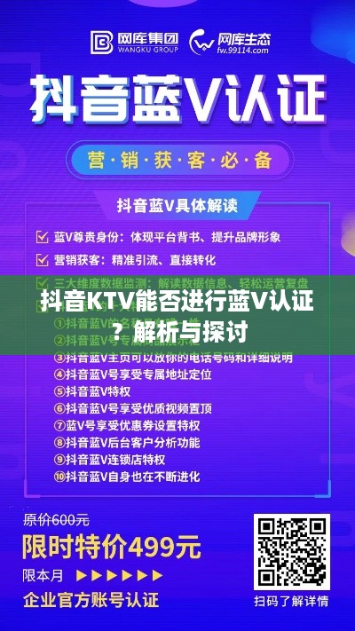 抖音KTV能否进行蓝V认证？解析与探讨