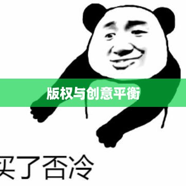 抖音是否可以使用动漫片段，版权与创意的平衡
