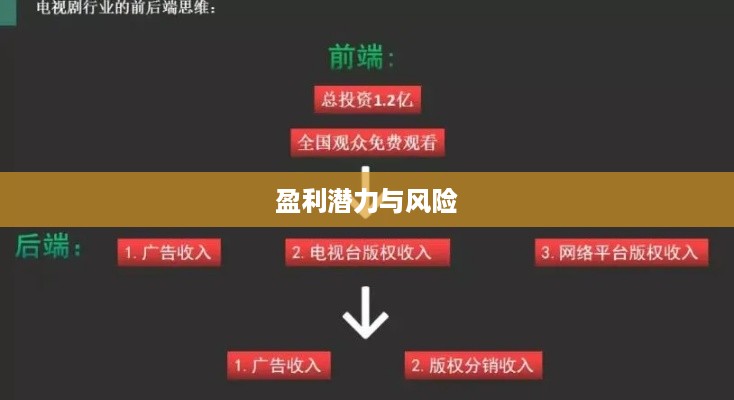 抖音雇人直播赚钱吗，探究抖音直播雇佣模式的盈利潜力与风险