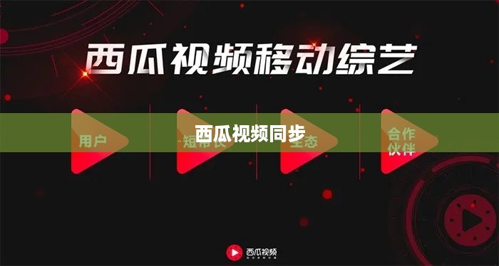 西瓜视频同步两个抖音的探讨