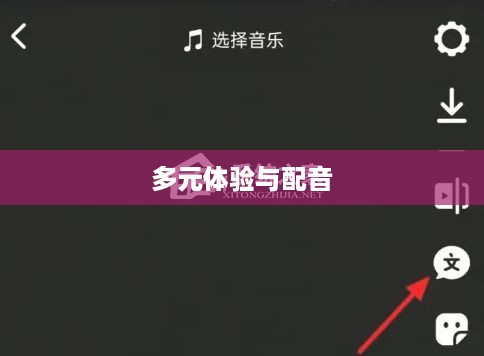 看抖音是否一定要配音？探讨视频观赏的多元体验