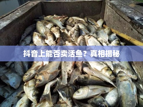 抖音上能否卖活鱼？真相揭秘