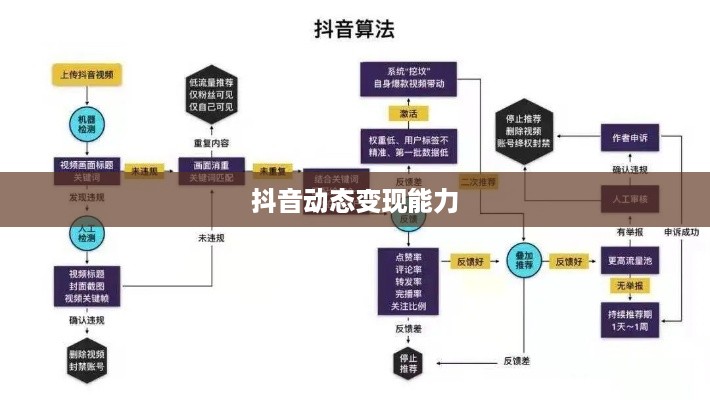 抖音动态可以变现吗，探究抖音平台的商业化潜力