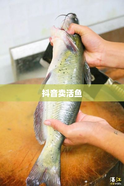 抖音上卖活鱼，真实还是虚幻？