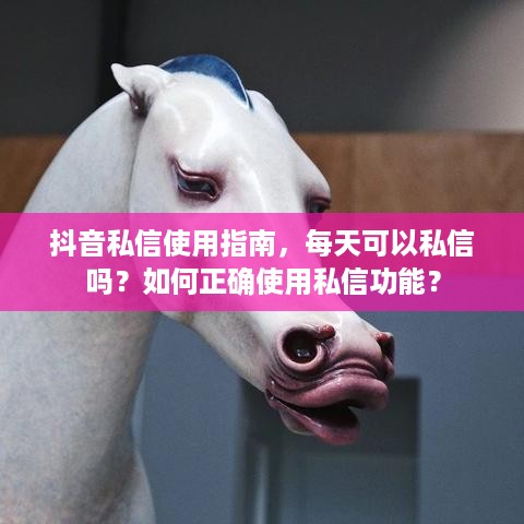 抖音私信使用指南，每天可以私信吗？如何正确使用私信功能？