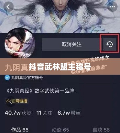 抖音武林盟主称号，官方评定还是用户认可?