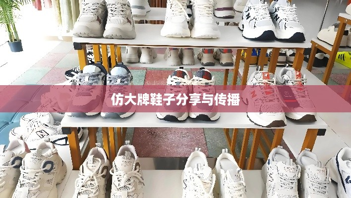 抖音平台上的时尚潮流，仿大牌鞋子的分享与传播
