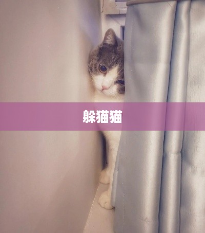 抖音上的躲猫猫热潮，一场全民参与的欢乐游戏