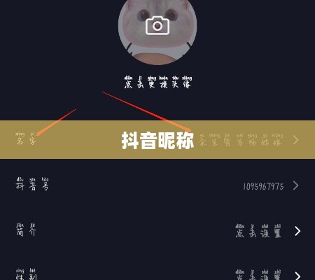 抖音收货姓名是否需要写抖音昵称？解析与探讨