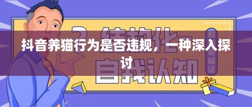 抖音养猫行为是否违规，一种深入探讨