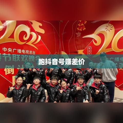 跑抖音号赚差价是否违法，深度解析与警示