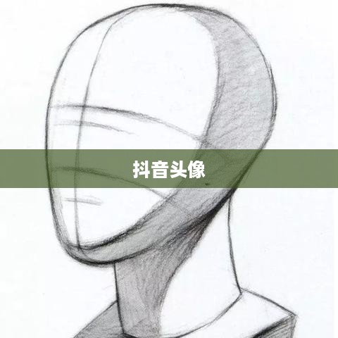 抖音头像，男性是否可以选择方形设计？