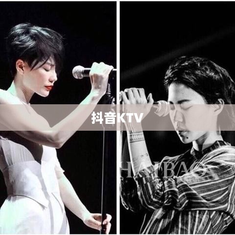 抖音KTV能否进行蓝V认证，解析与探讨