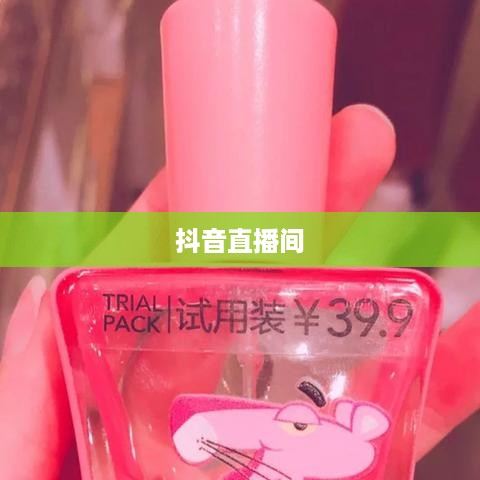 抖音直播间是否需要抖音币，深度解析与探讨