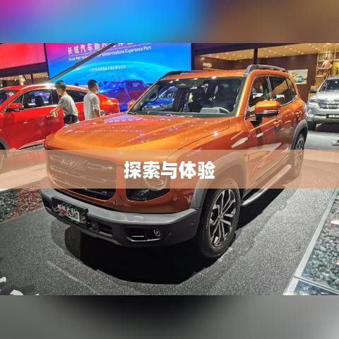 抖音圆形特效的魅力，探索与体验