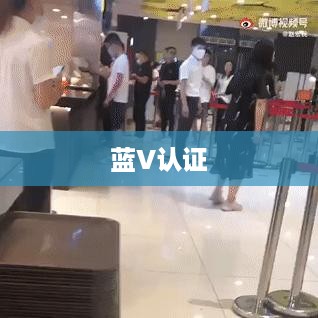 抖音KTV能否进行蓝V认证？解析与探讨