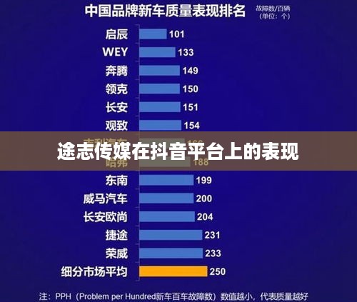 途志传媒在抖音平台上的表现，可靠性分析