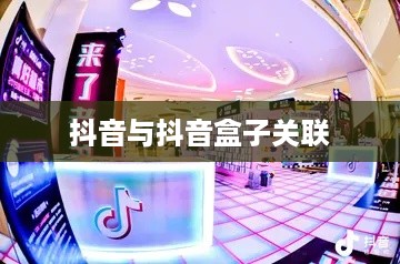 抖音与抖音盒子的关联，一种全新的互动体验方式