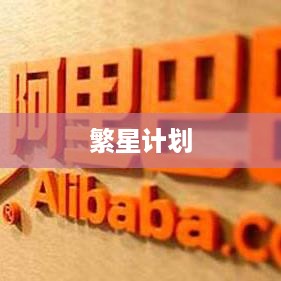 繁星计划与抖音官网，探索与解析