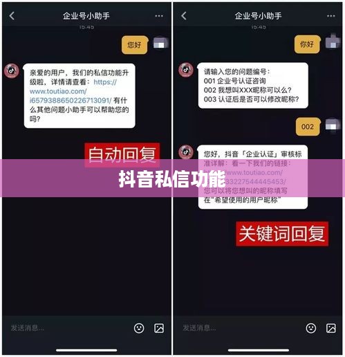 抖音私信功能的使用与限制，每天能否发送私信？