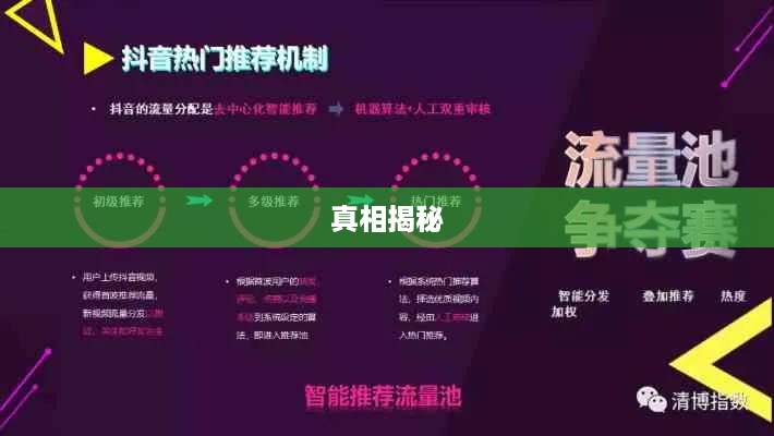 抖音上出船赚钱真相揭秘