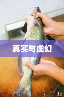抖音上卖活鱼，真实还是虚幻？