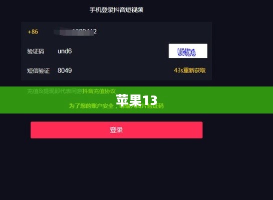 苹果13可以同时登录两个抖音账号吗？解析与探讨