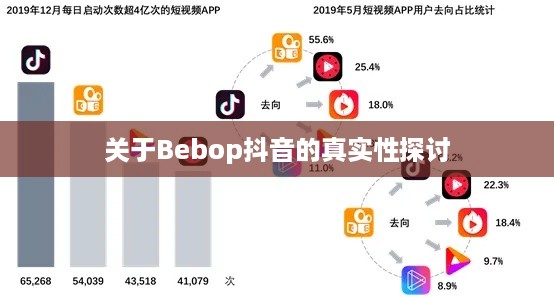关于Bebop抖音的真实性探讨