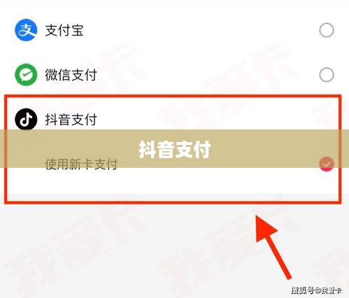 抖音支付与充抖币，支付安全性的探讨