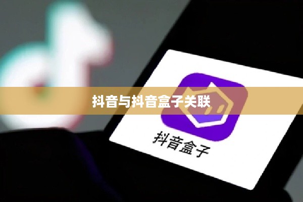 抖音与抖音盒子的关联，如何打通两者间的连接