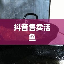 抖音上能否售卖活鱼，真实与否的探讨