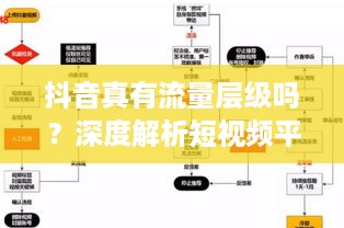 抖音真有流量层级吗？深度解析短视频平台的流量分配机制