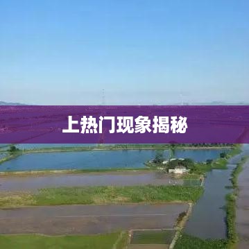 抖音钓鱼人上热门现象揭秘，真相究竟如何？