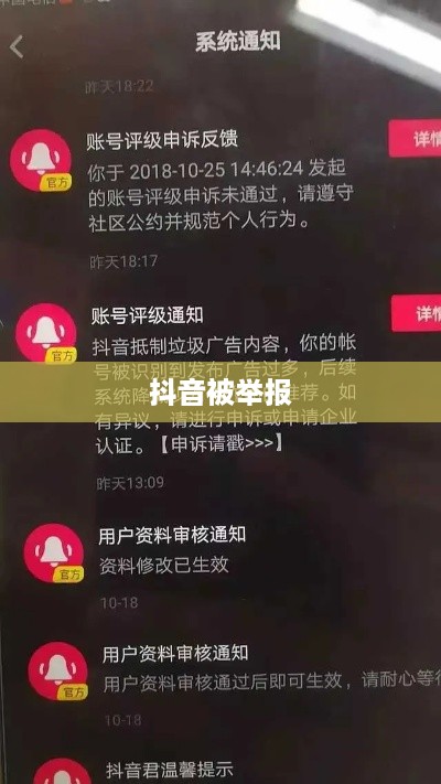 抖音被举报后抖音是否还能正常使用的探讨