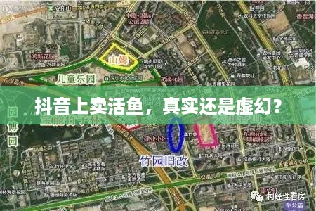 抖音上卖活鱼，真实还是虚幻？