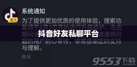 抖音好友私聊平台是否会下架？解析与探讨