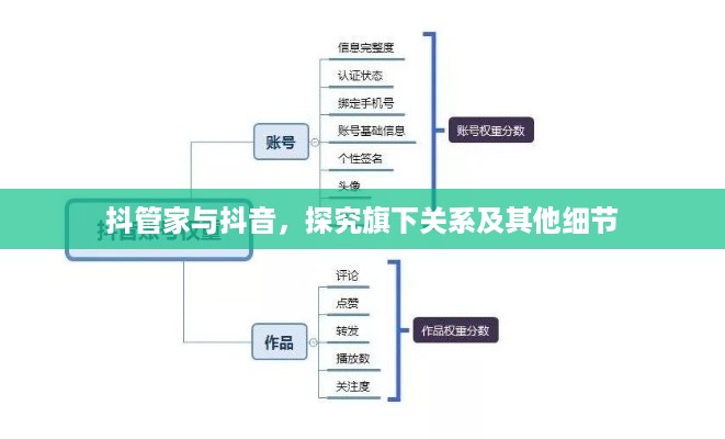 抖管家与抖音，探究旗下关系及其他细节