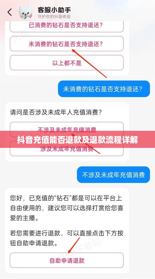 抖音充值能否退款及退款流程详解