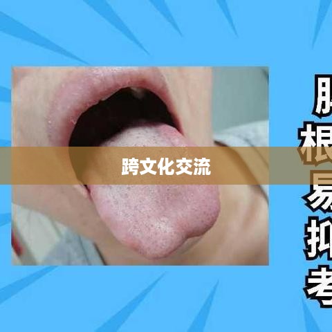 抖音全球视角下的跨文化交流