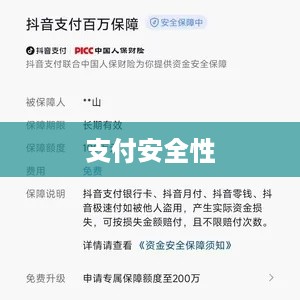 抖音支付与充抖币，支付安全性的探讨