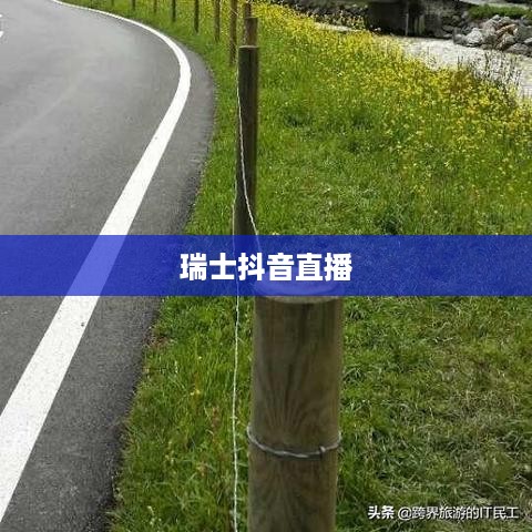 瑞士可以抖音直播吗？对瑞士抖音直播环境的探讨