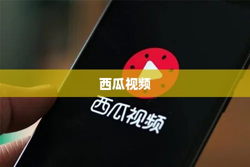 西瓜视频是否支持同步两个抖音账号？解析与探讨