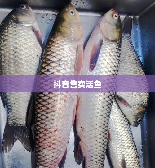 抖音上能否售卖活鱼，真实与否的探讨